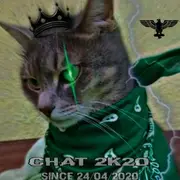 Avatar de chat – 2K20