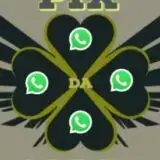 Avatar de 15 pra 1200