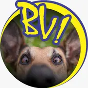 Avatar de Filmes grátis