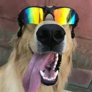 Avatar de ZOEIRA