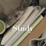 Avatar de study and discipline