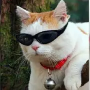 Avatar de 𝐒𝐡𝐢𝐭𝐩𝐨𝐬𝐭 𝐝𝐚 𝐙𝐮𝐞𝐢𝐫𝐚
