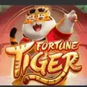 Avatar de Método Tiger 4.0 🐯 – Pagantes 💸