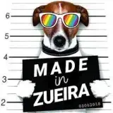 Avatar de Zueira BR