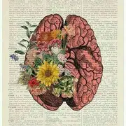 Avatar de Estudos Naturalistas