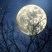 Avatar de Trilhar caminhos 🌕🕯️🪷🕯️
